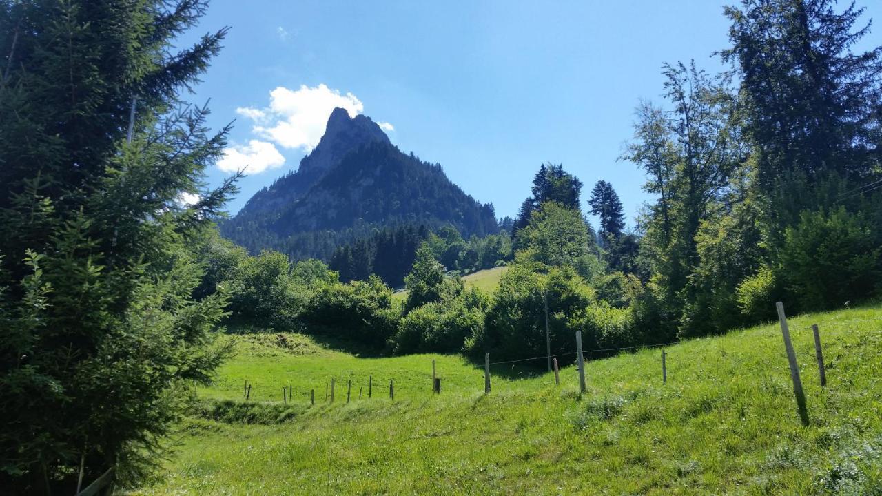 Wettermatte Villa Kiental Екстериор снимка