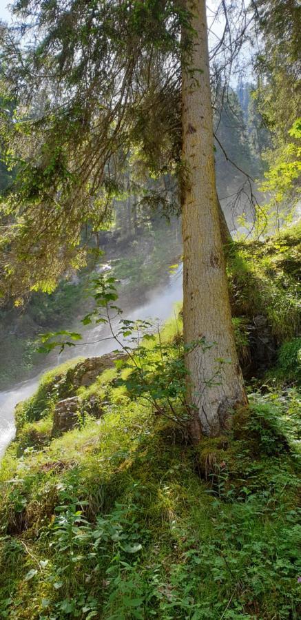Wettermatte Villa Kiental Екстериор снимка